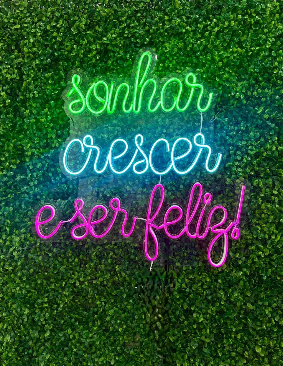 Painel neon tricolor "Sonhar, crescer e ser feliz"